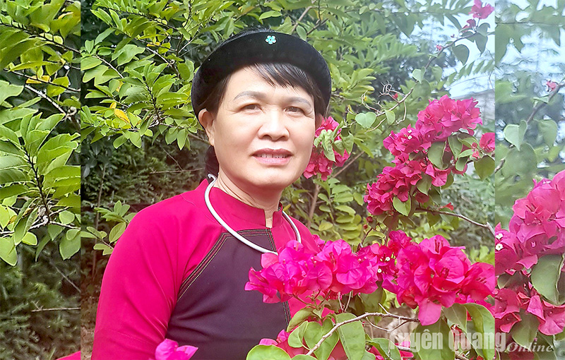 Ảnh tin