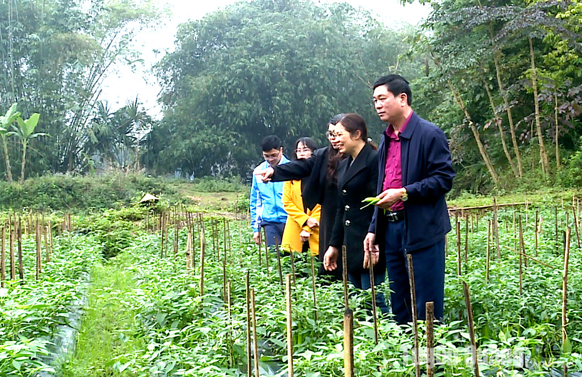 Ảnh tin