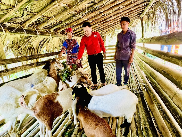 Ảnh tin
