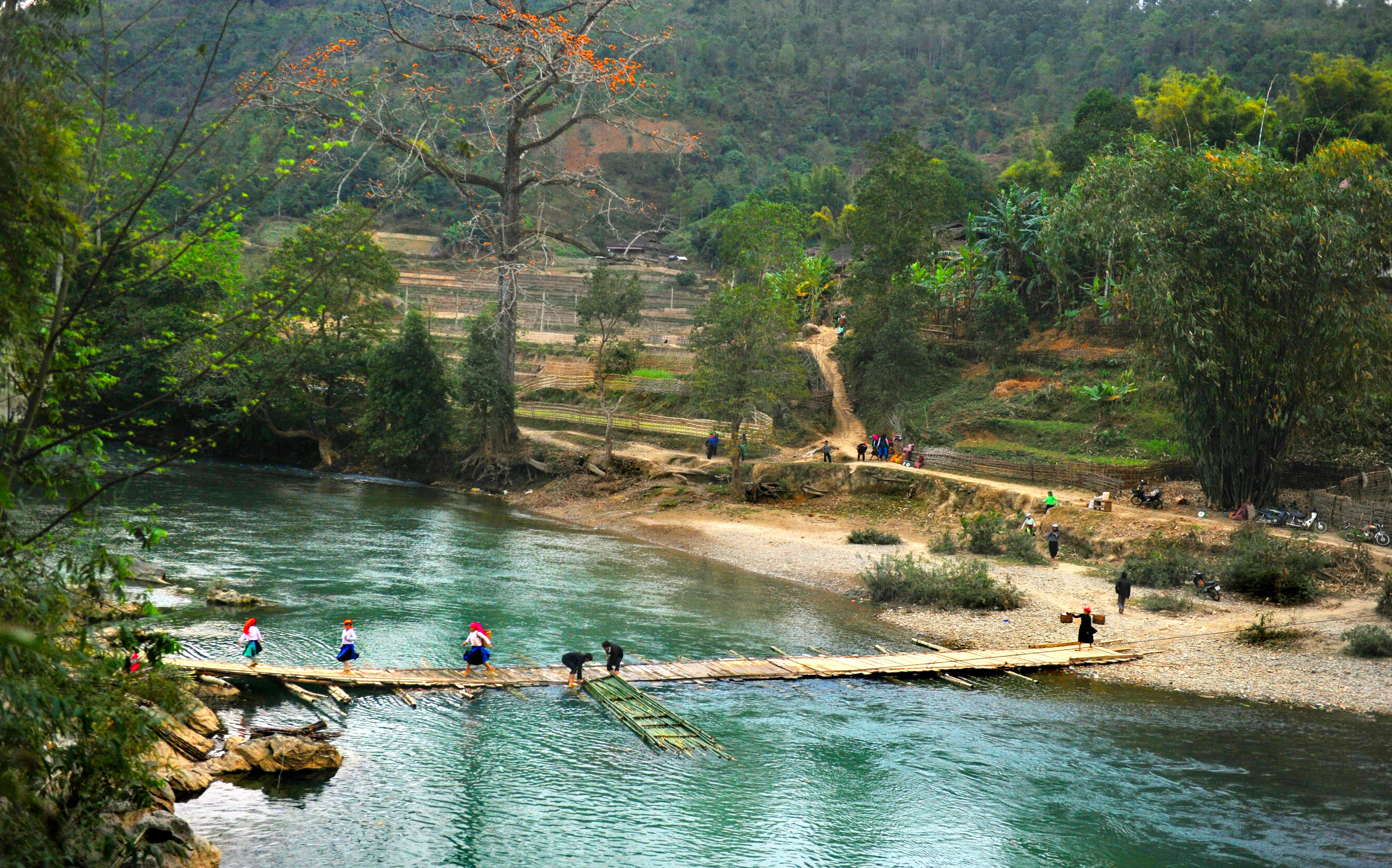 Ảnh tin