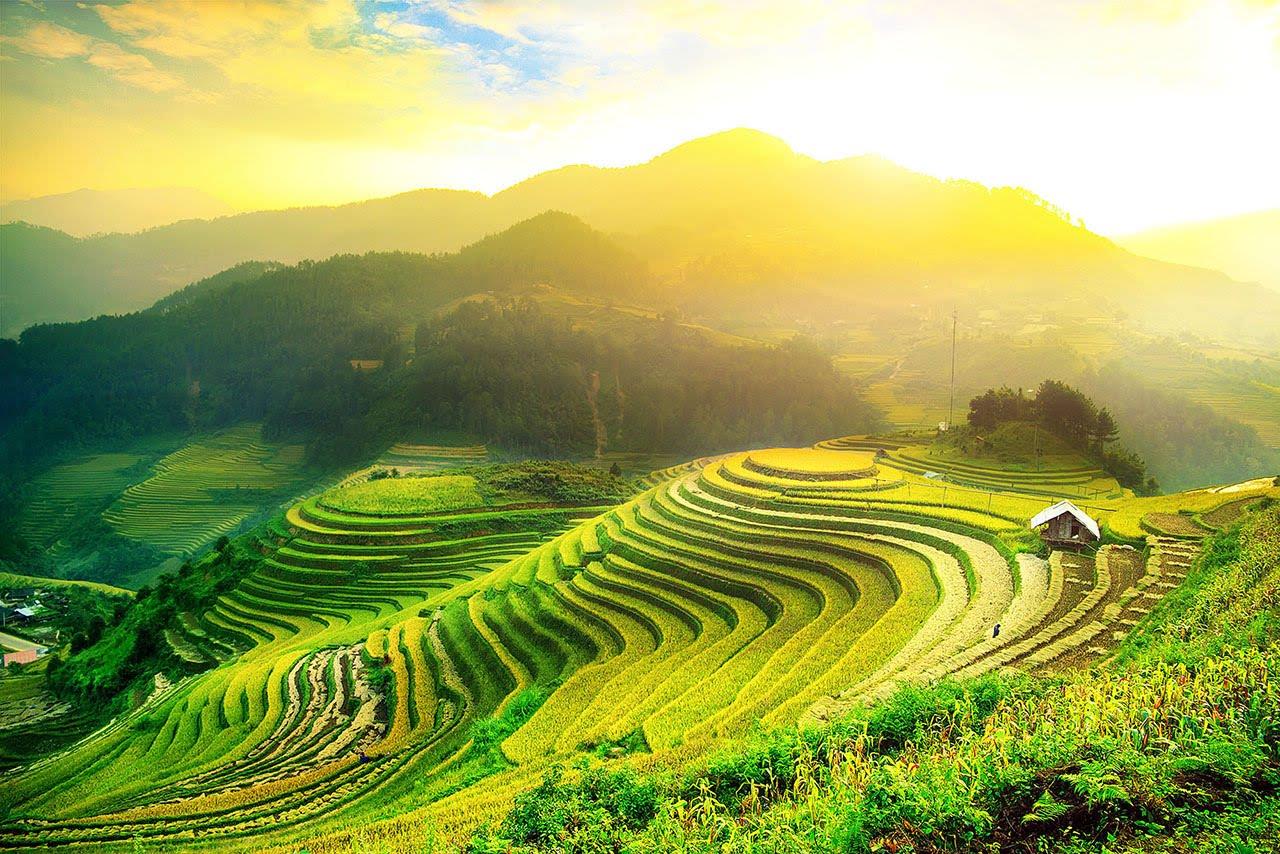 Ảnh tin