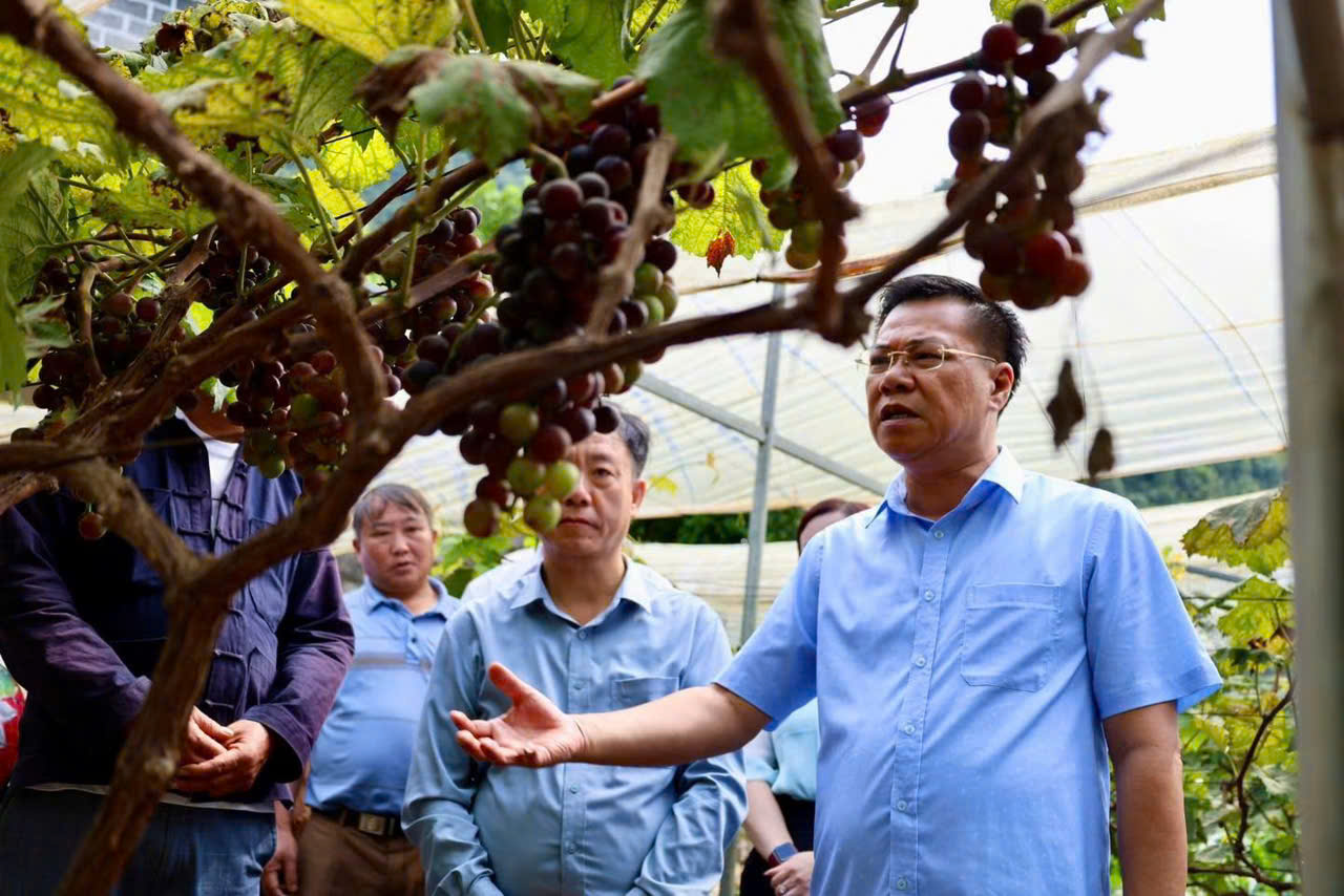 Nâng cao chất lượng công tác tuyên giáo và dân vận của Cụm hoạt động số 01