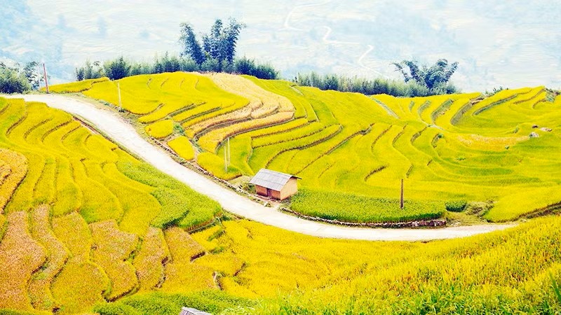 Ảnh tin