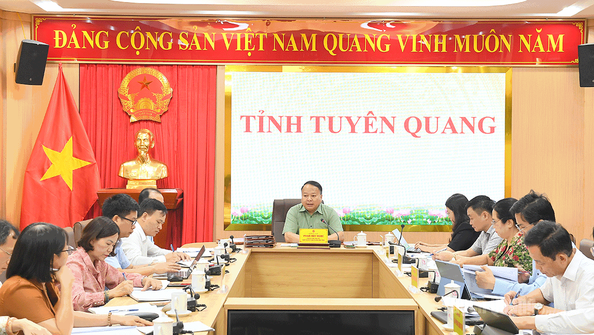 Ảnh tin