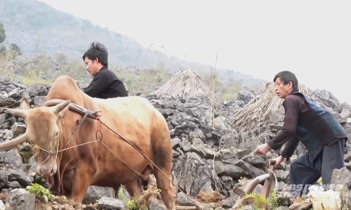 Ảnh tin