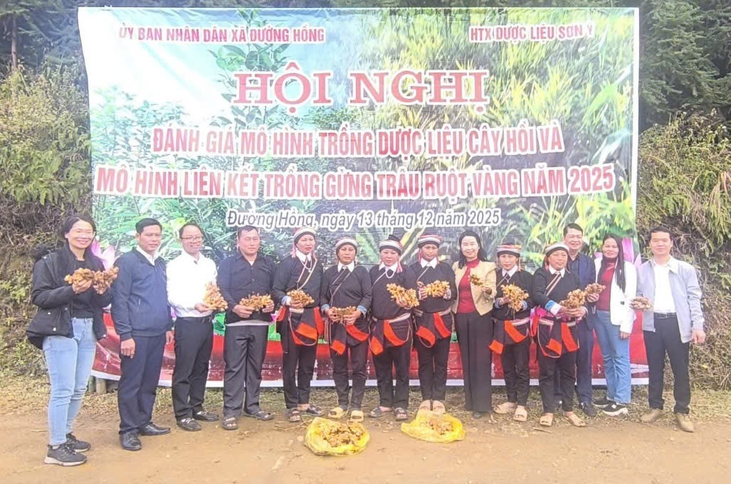 Ảnh tin