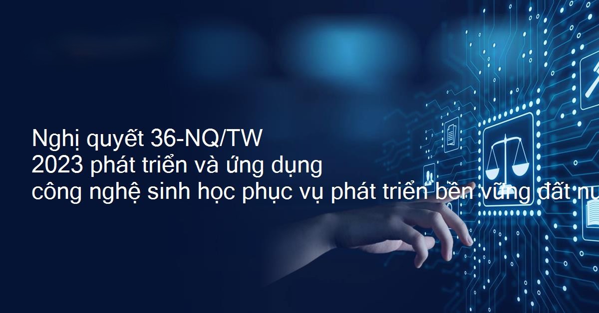 Ảnh tin