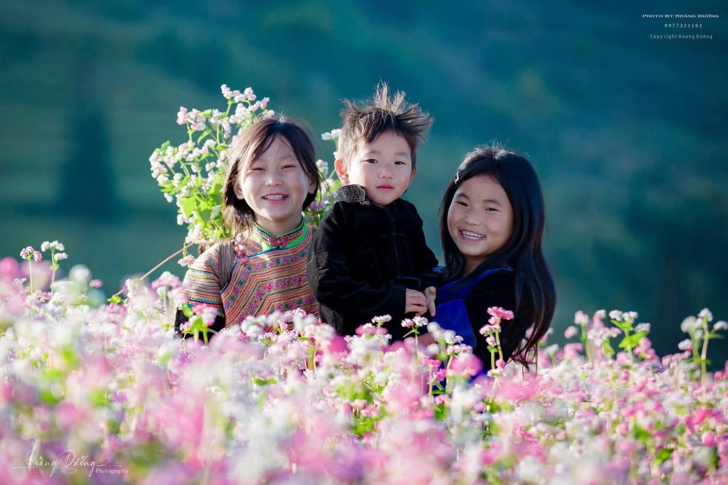 Mùa hoa tam giác mạch Tuyên Quang - vẻ đẹp say đắm giữa mây trời